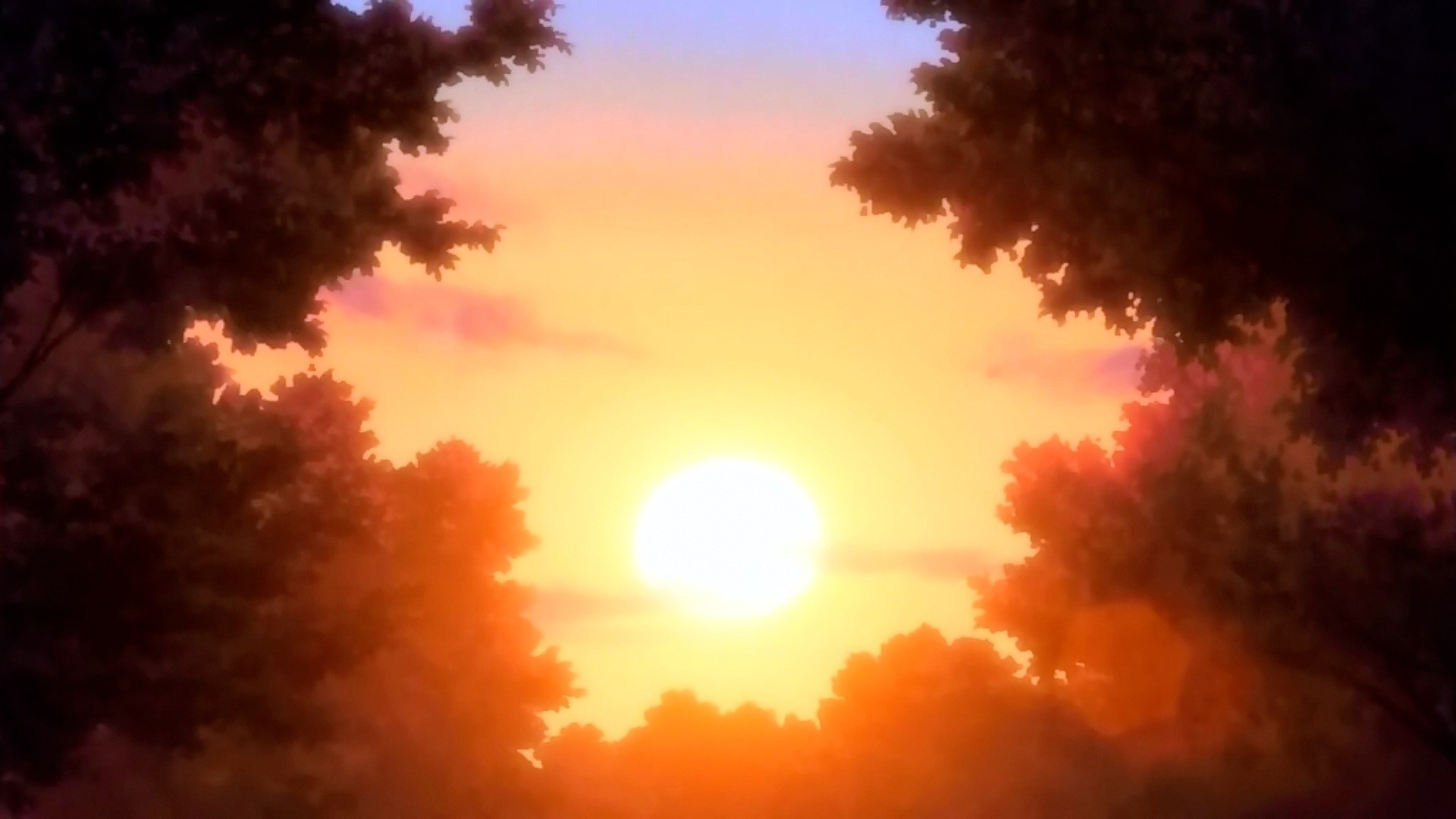 sunset through tree branches