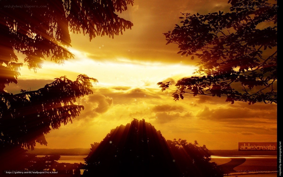 Sunset through tree branches