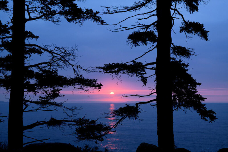 Sunset through tree silhouettes