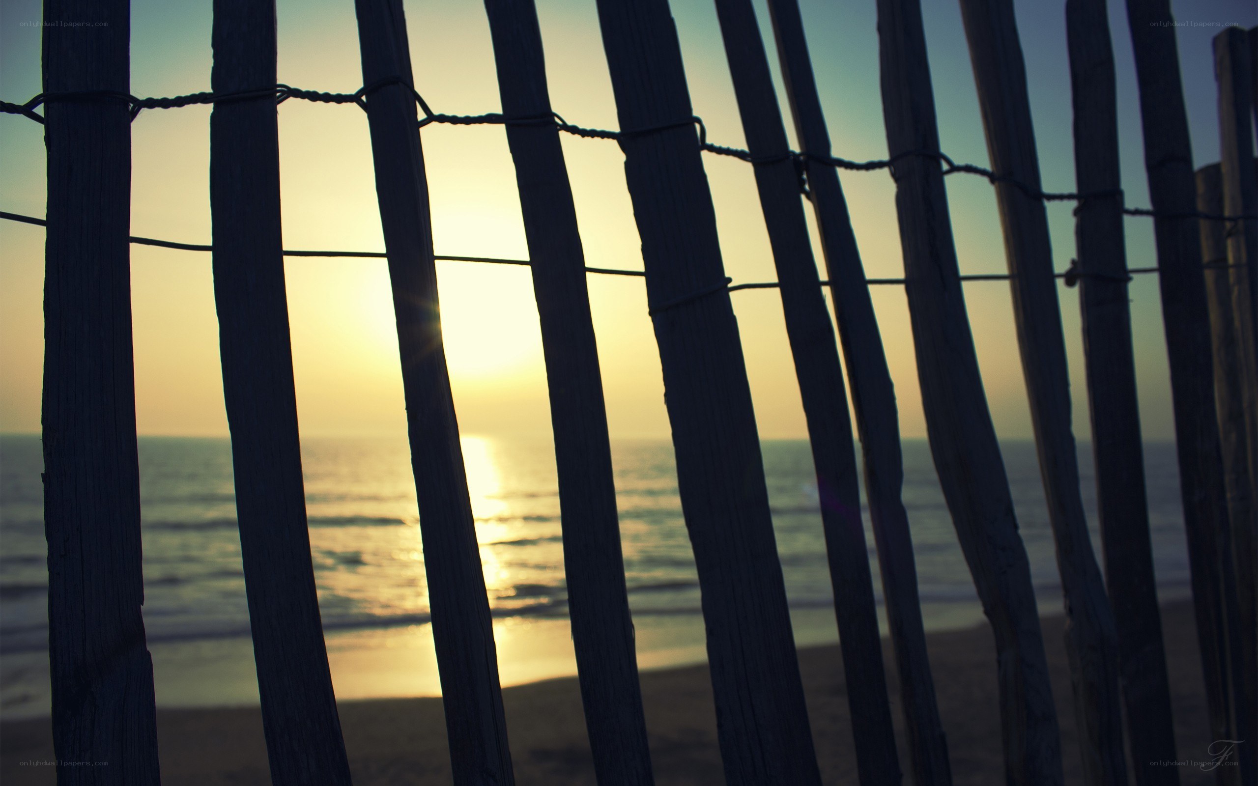 sunset through wooden fence