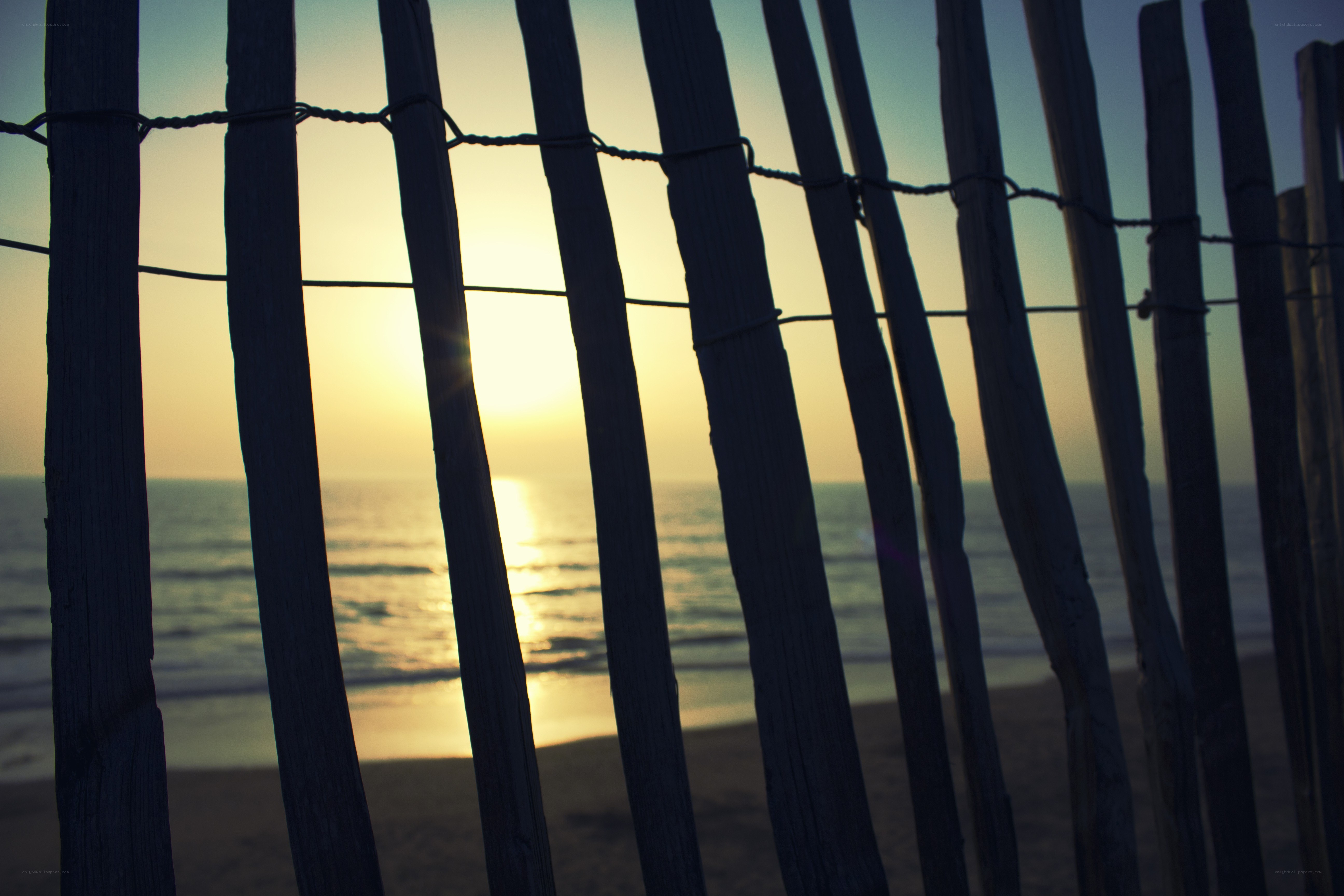 sunset through wooden fence