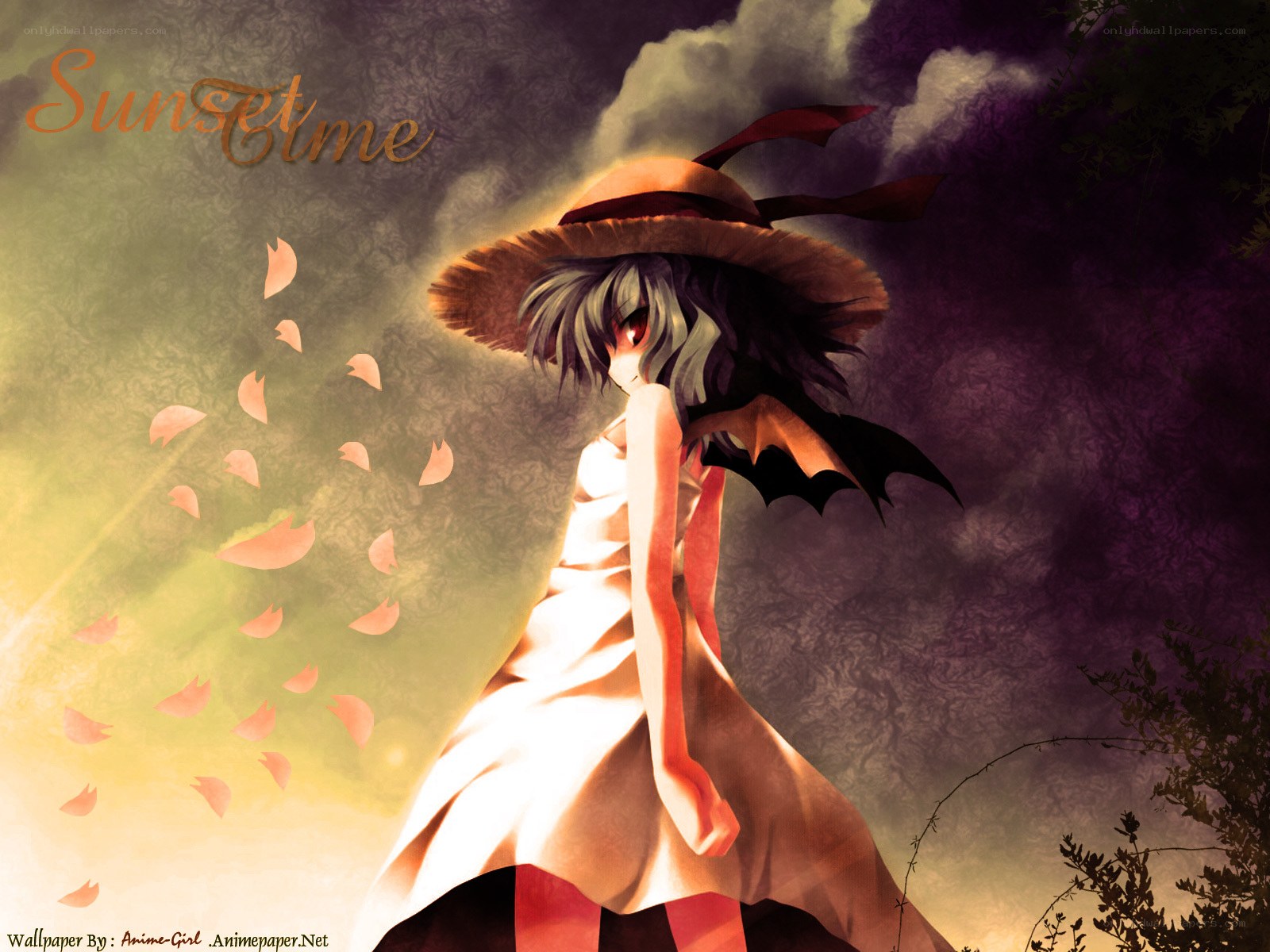 Sunset time anime girl