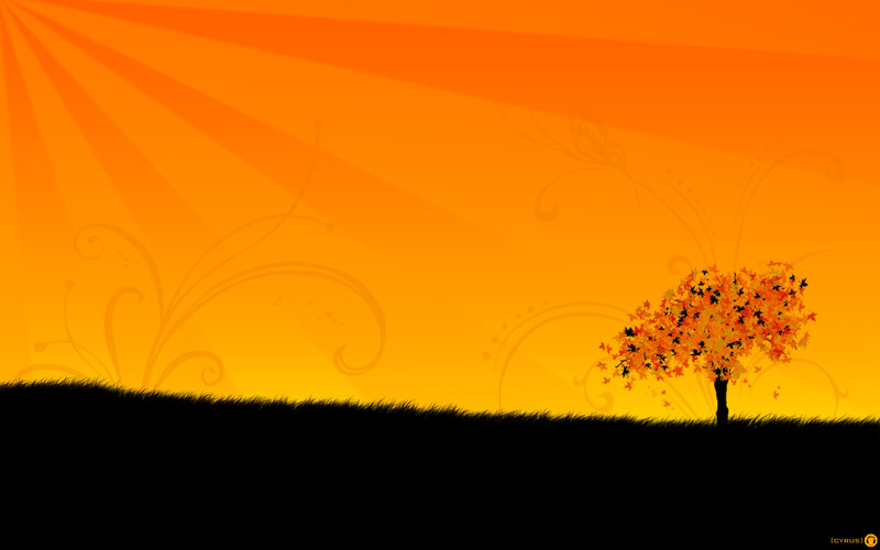 sunset tree silhouette