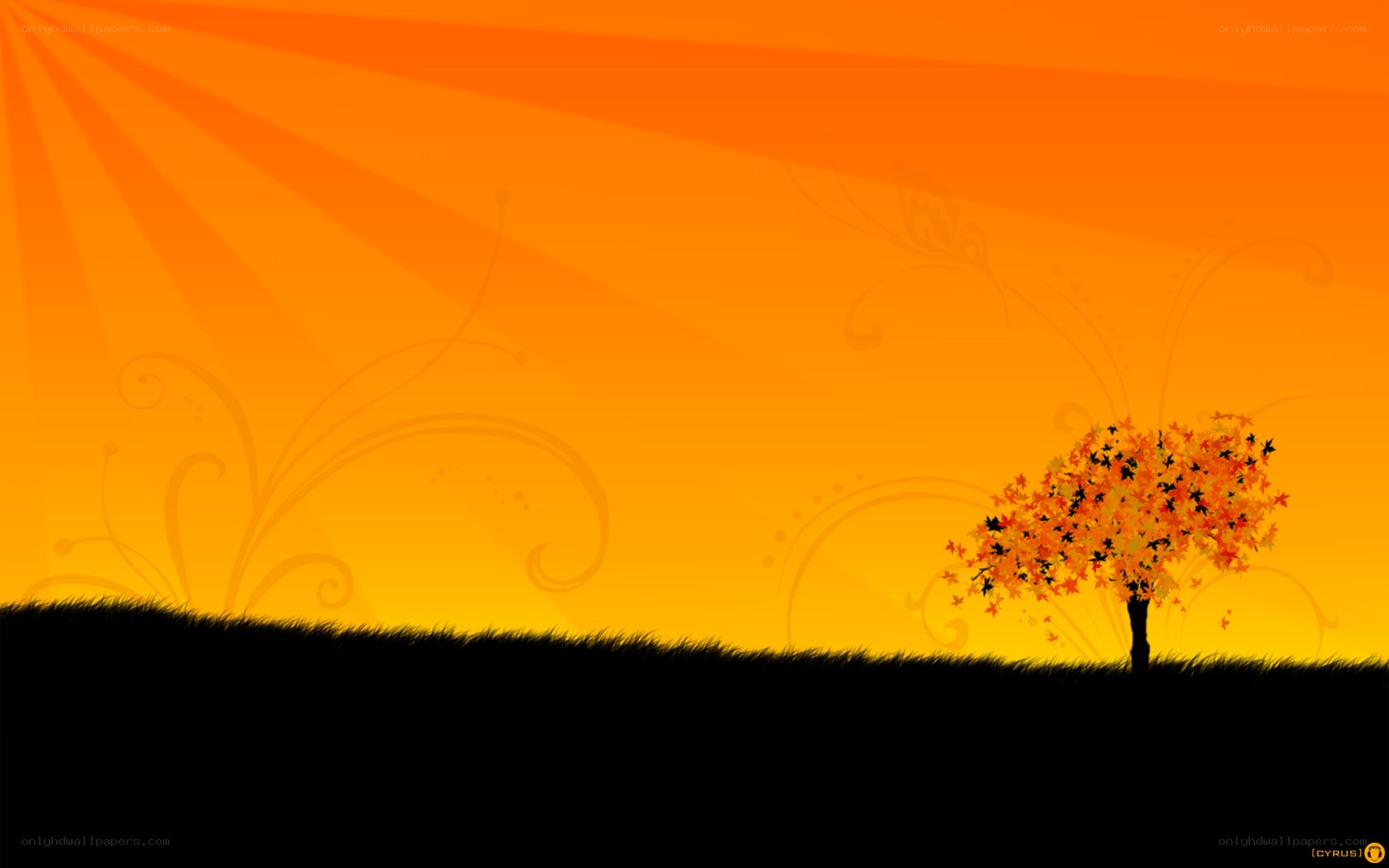 sunset tree silhouette