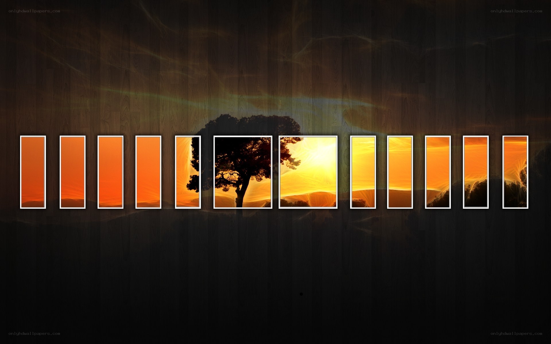 Sunset tree silhouette collage