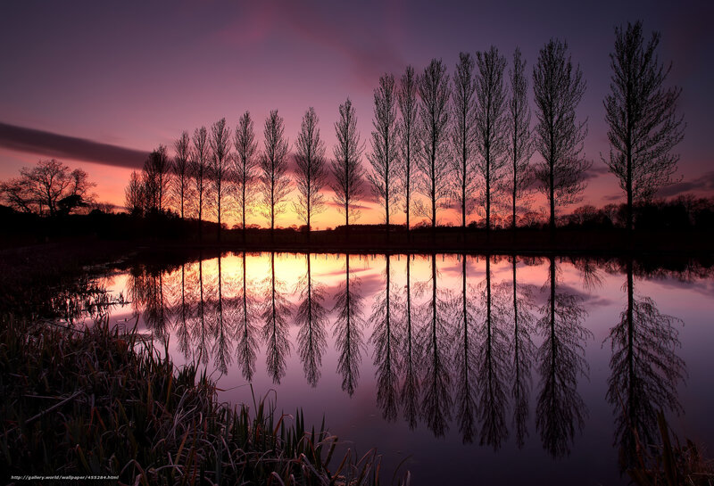 Sunset trees reflected in water