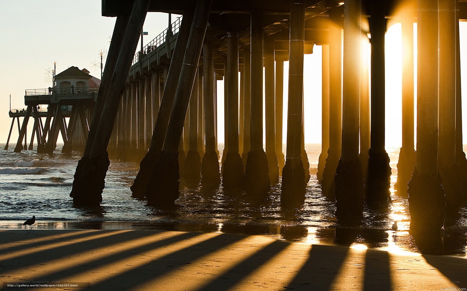 Sunset under the pier