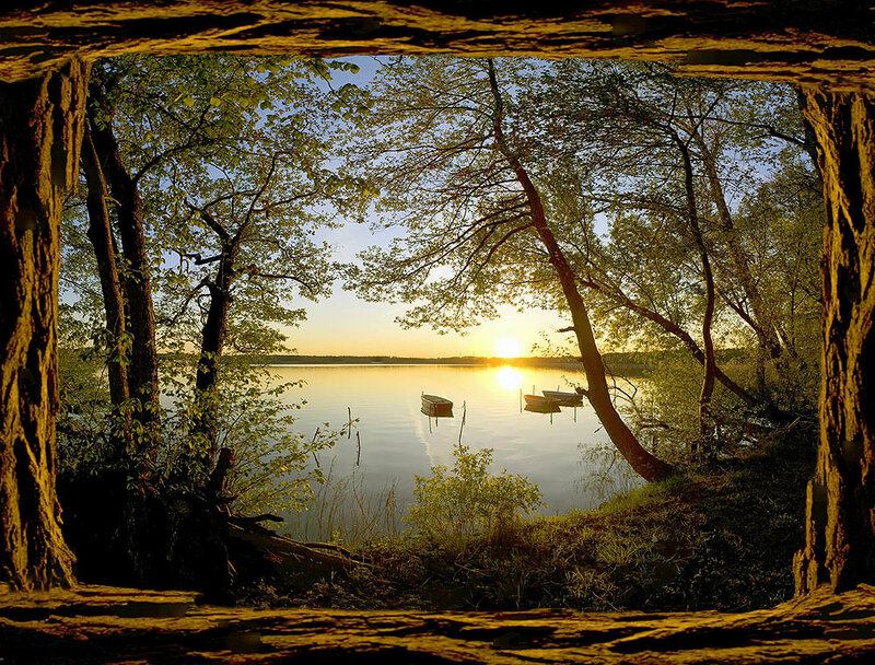 Sunset view from a forested shore