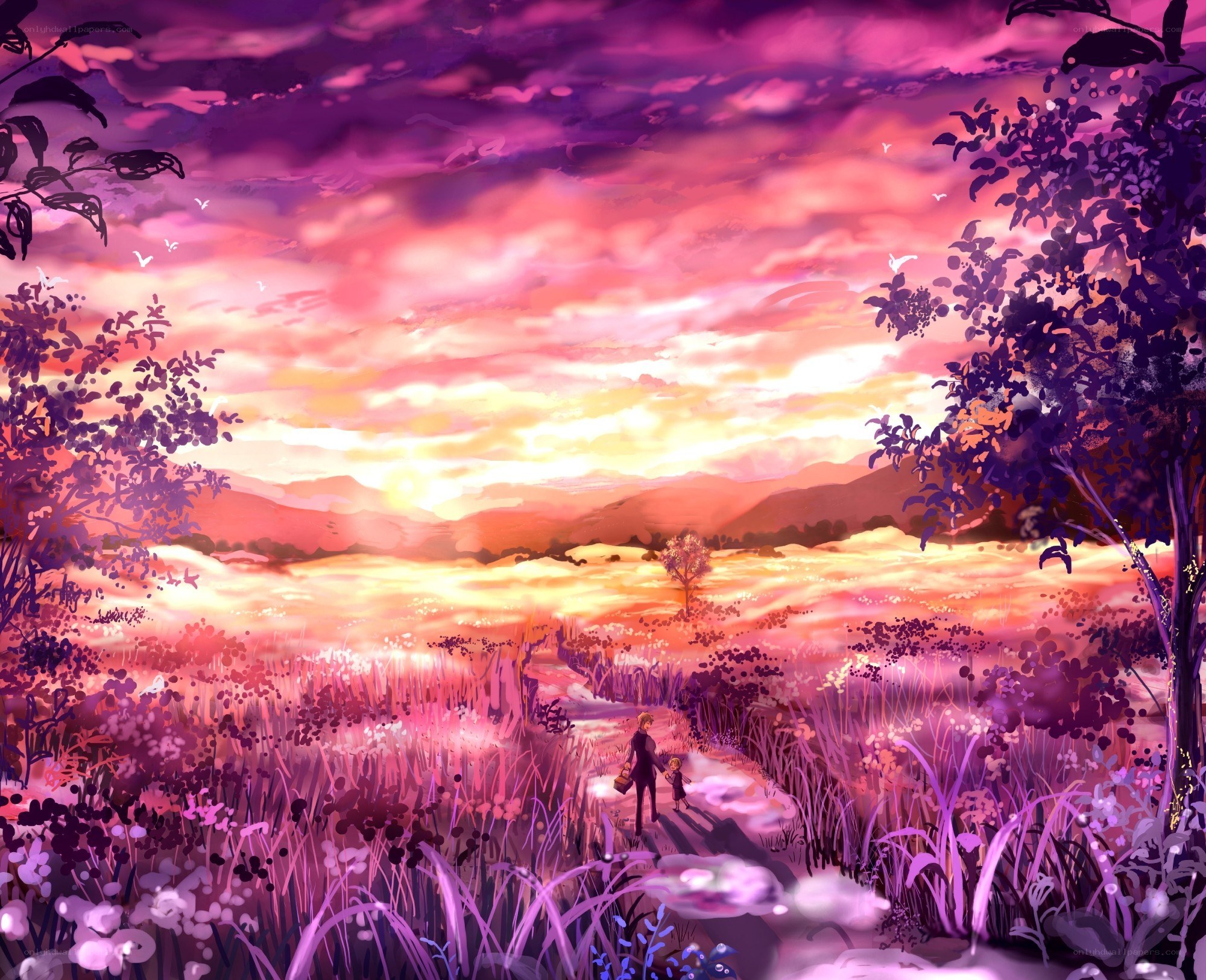 Sunset walk in a purple field