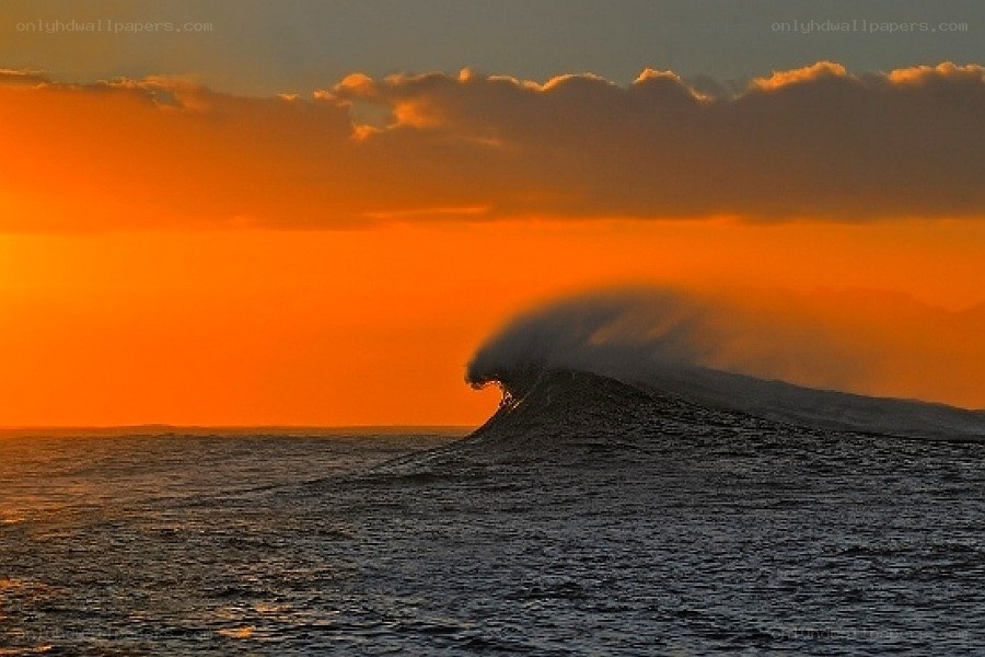 Sunset wave at sea