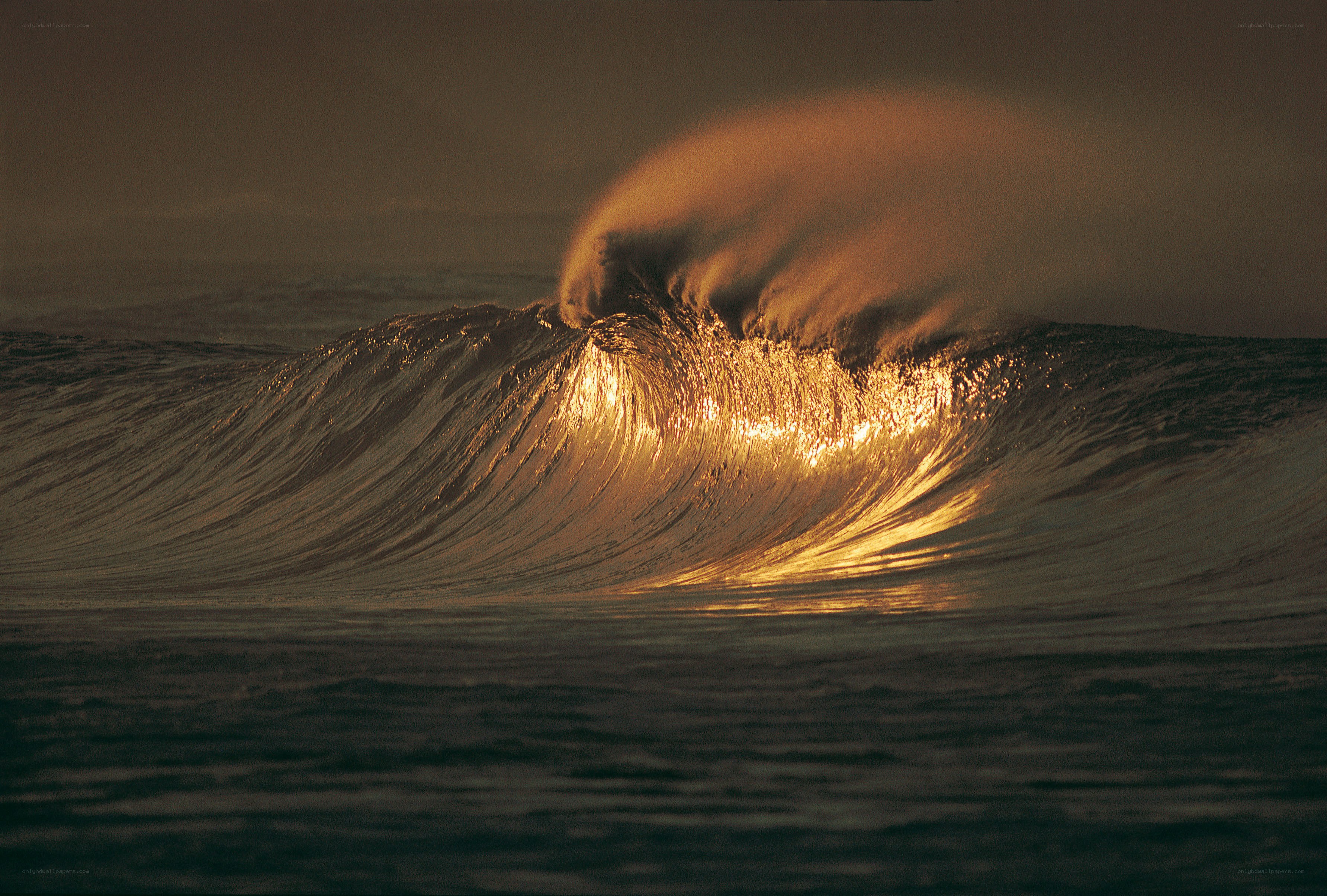Sunset wave at sea