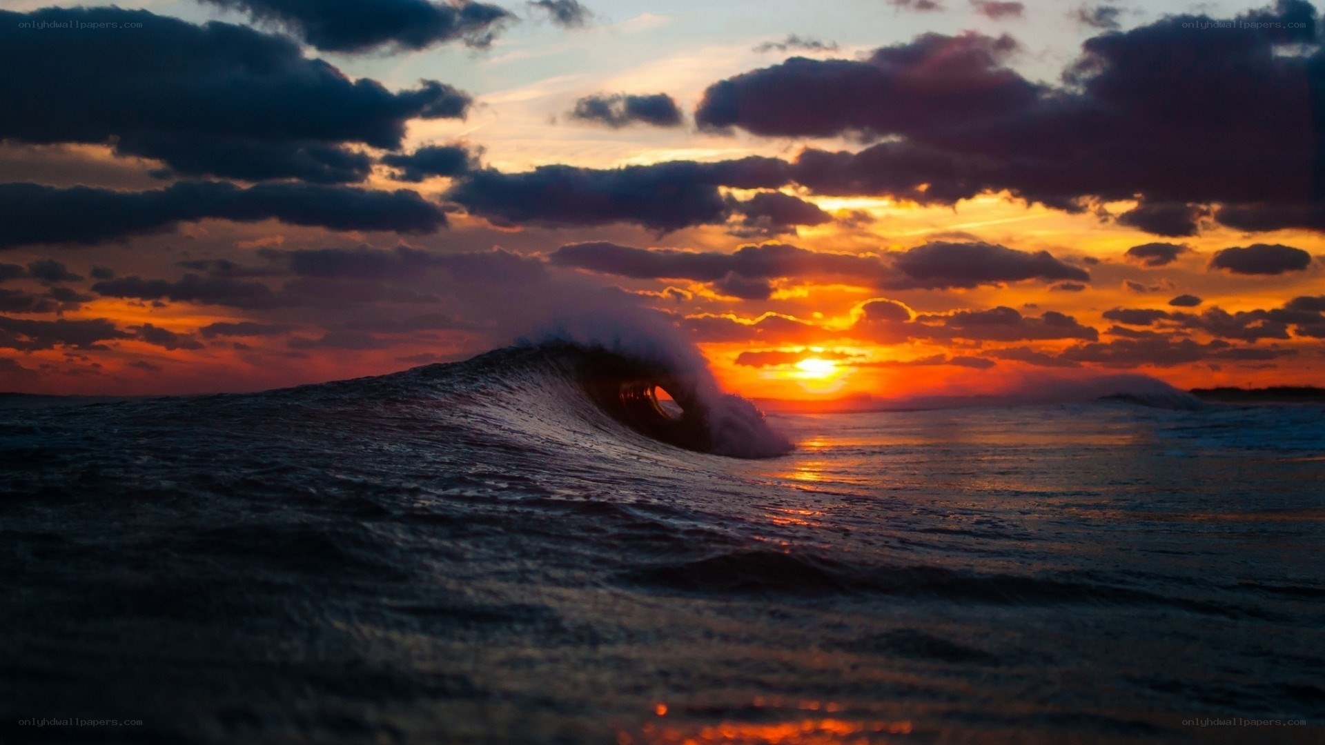 Sunset wave at the beach