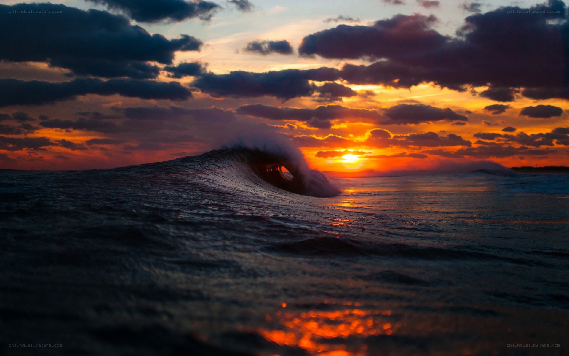 Sunset wave at the beach