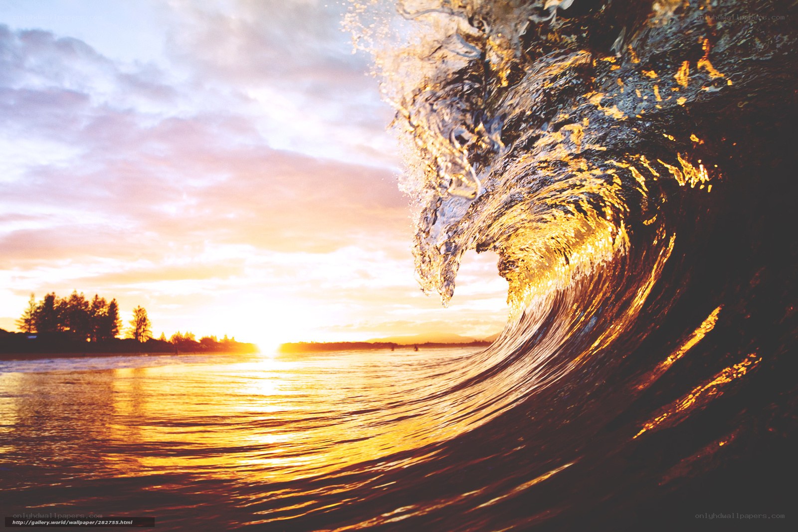 Sunset wave at the beach
