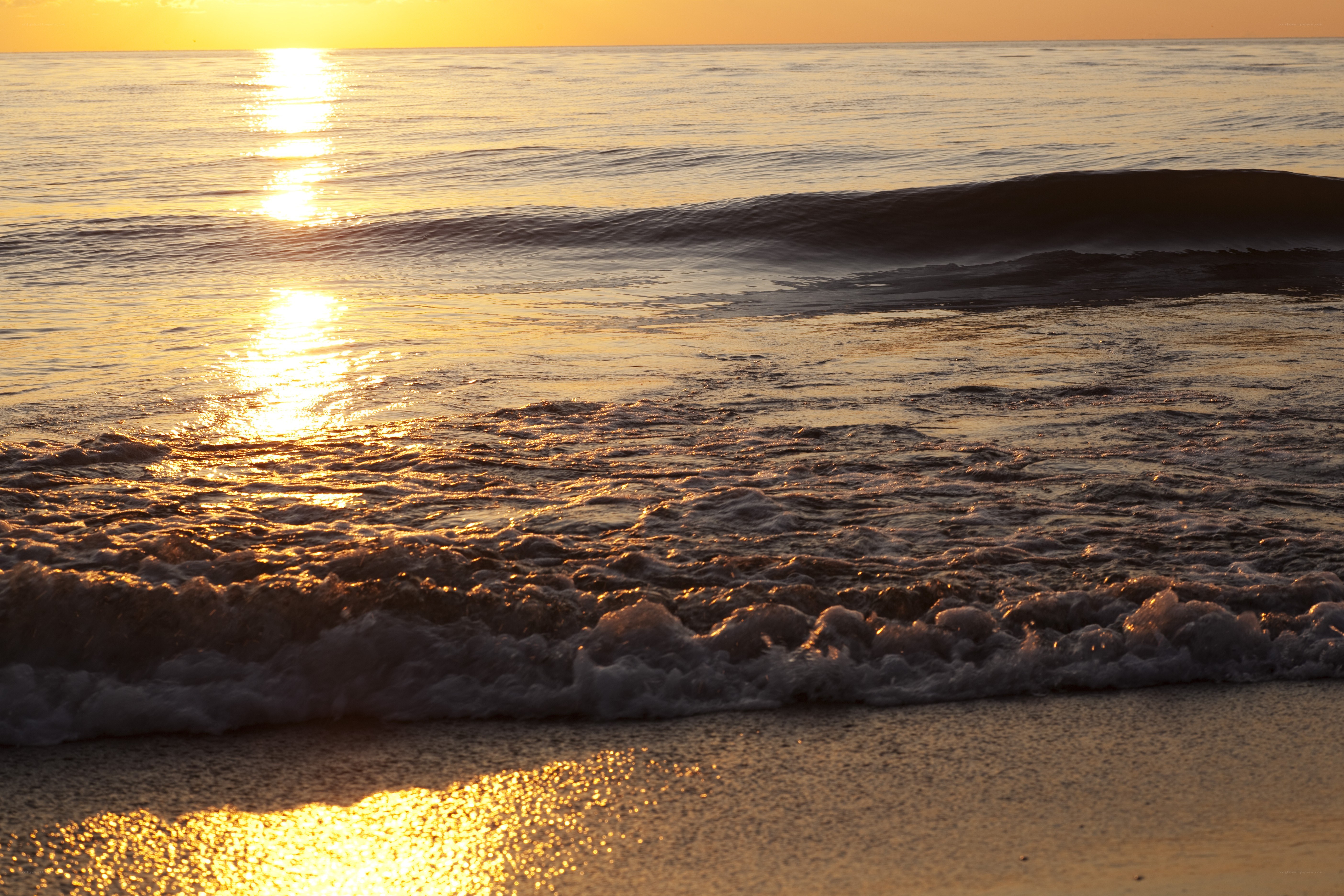 Sunset waves at the beach