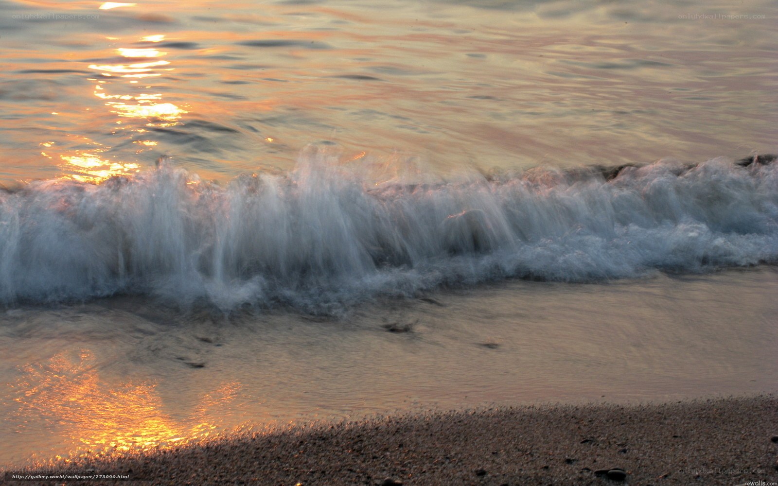 Sunset waves on the shore