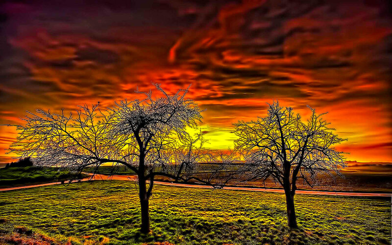 Sunset with bare trees