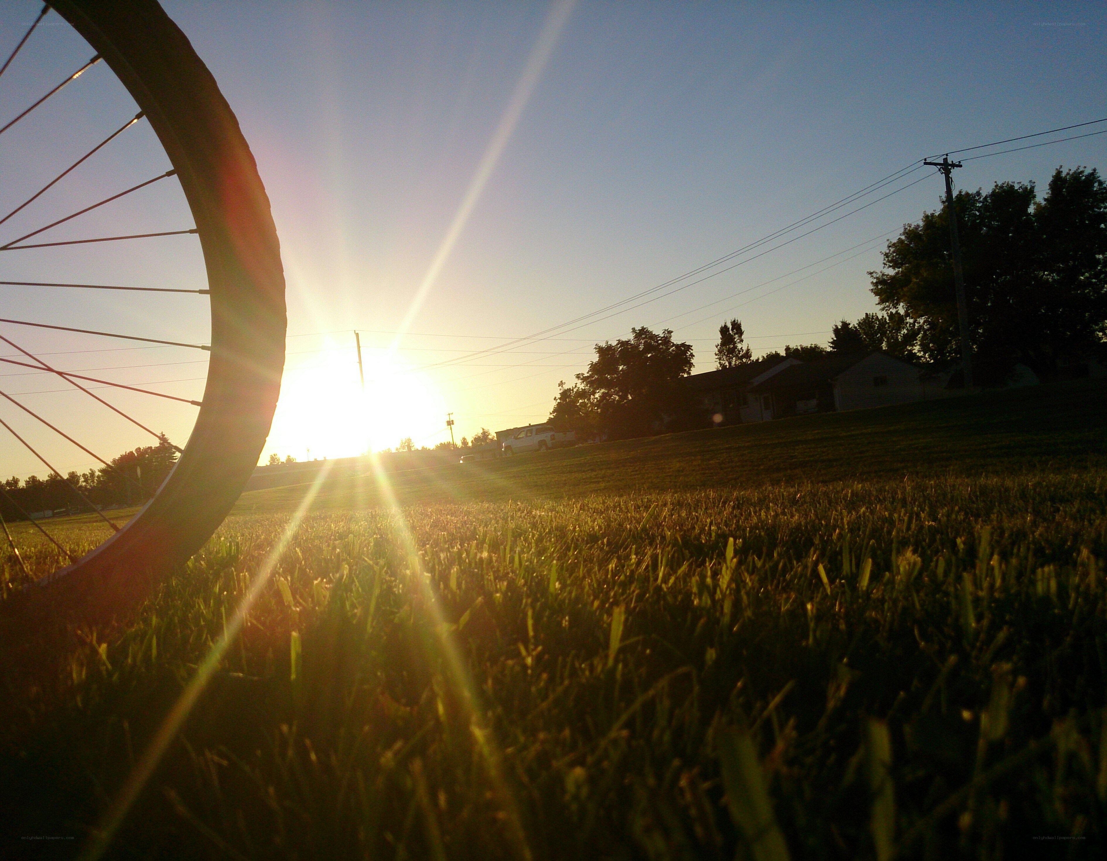 Sunset with bicycle wheel