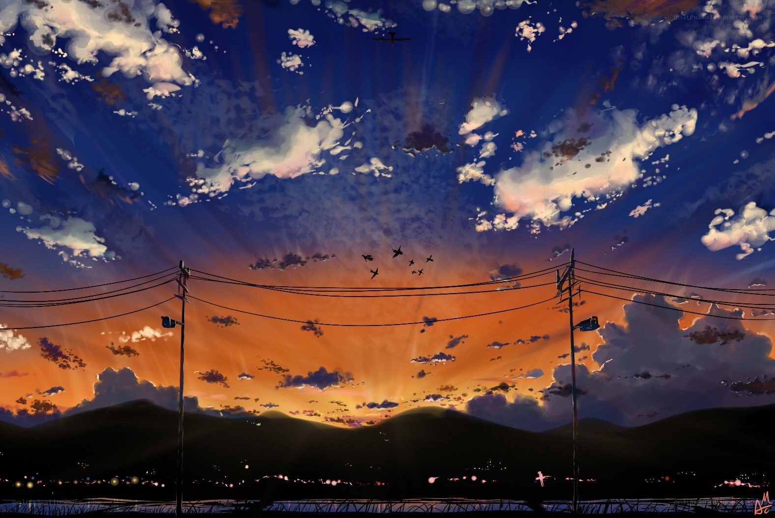 Sunset with birds and power lines