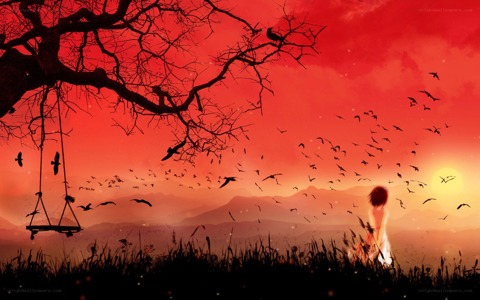 Sunset with birds and swing
