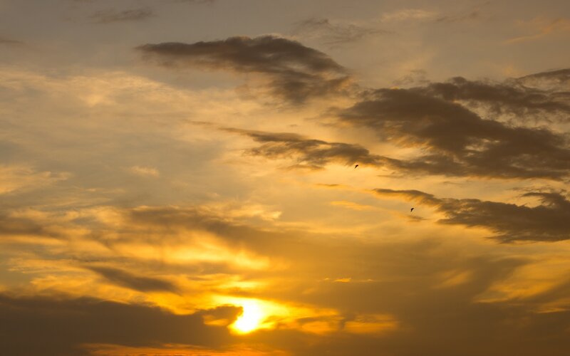 sunset with birds in sky