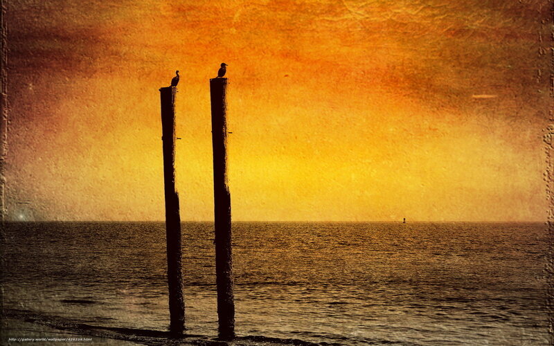 Sunset with birds on posts