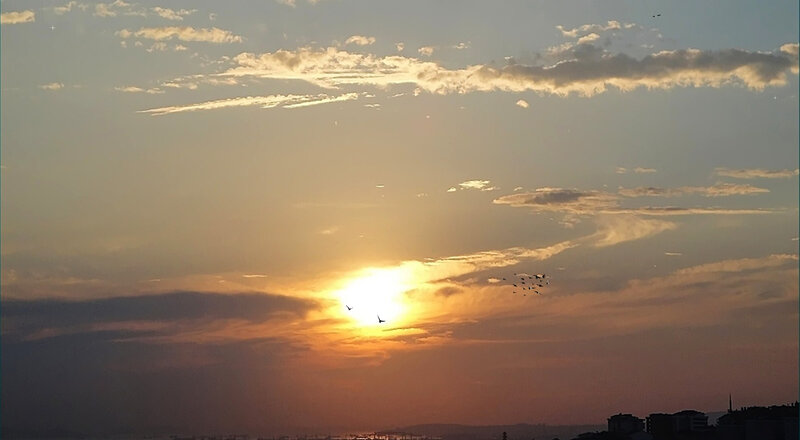 Sunset with Birds — Orange, Serene