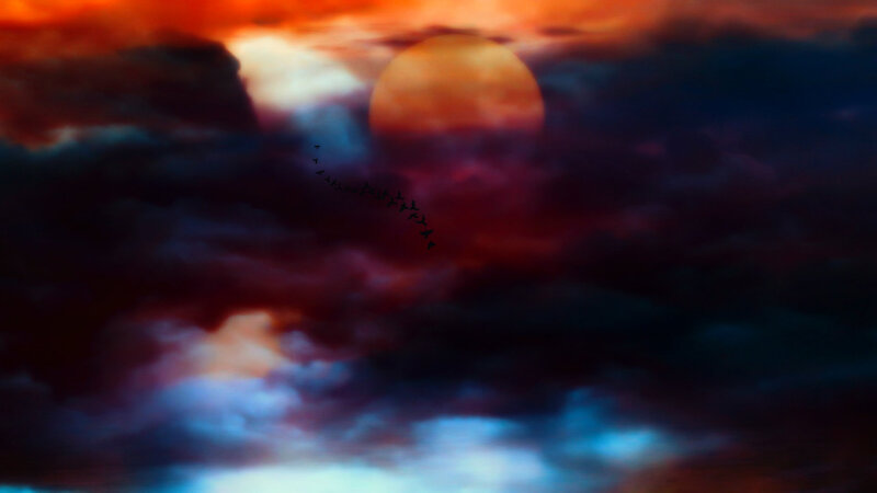 Sunset with Birds — Red, Dramatic, Digital Art