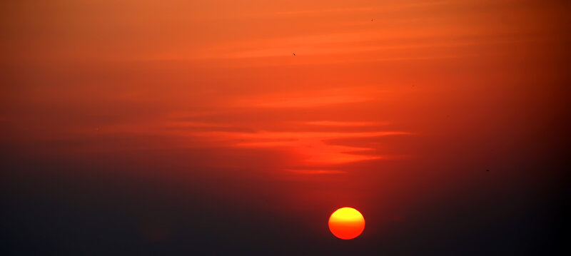 Sunset with birds