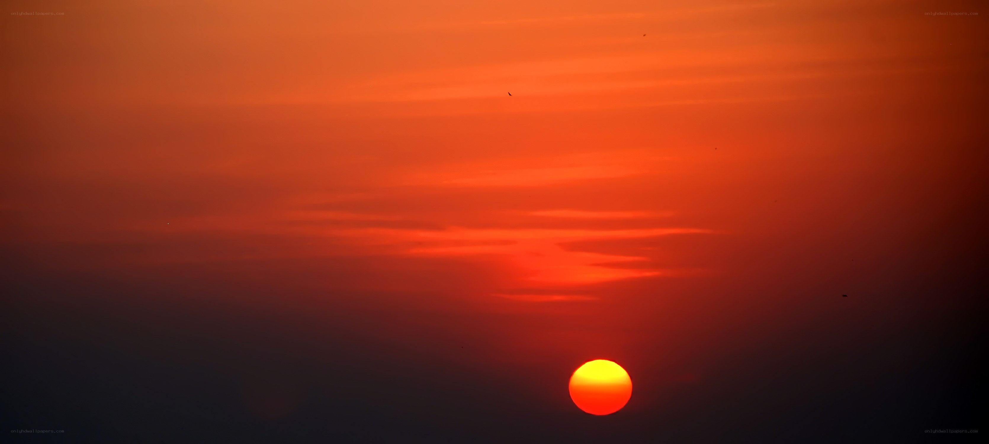 Sunset with birds