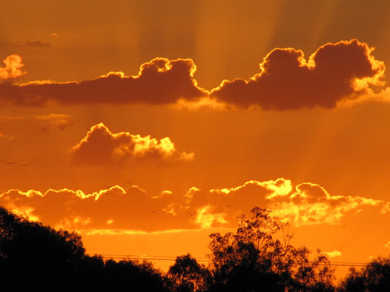 Sunset with clouds and birds