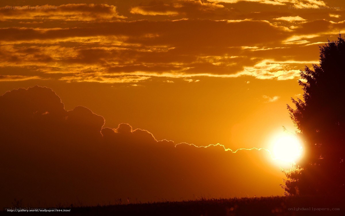 Sunset with clouds and tree