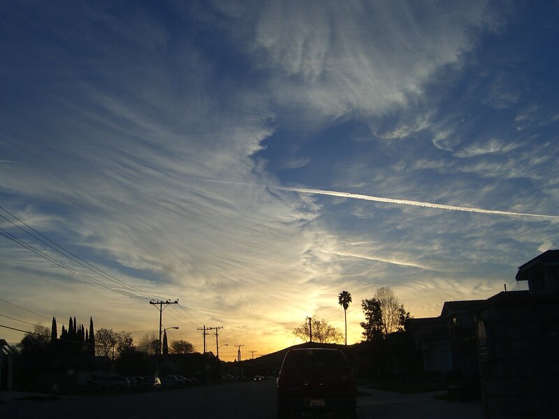 Sunset with contrail in suburban sky