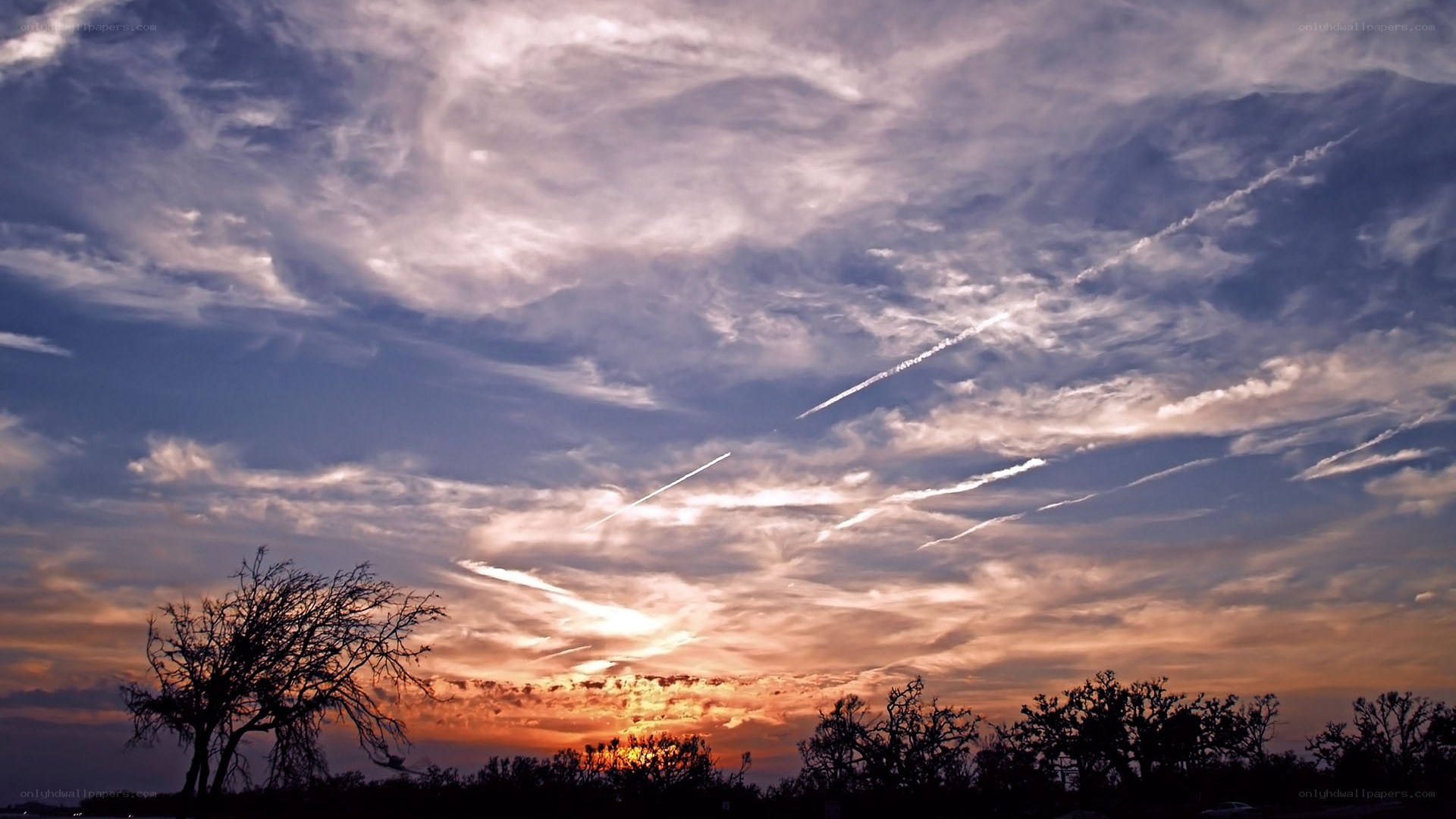 sunset with contrails