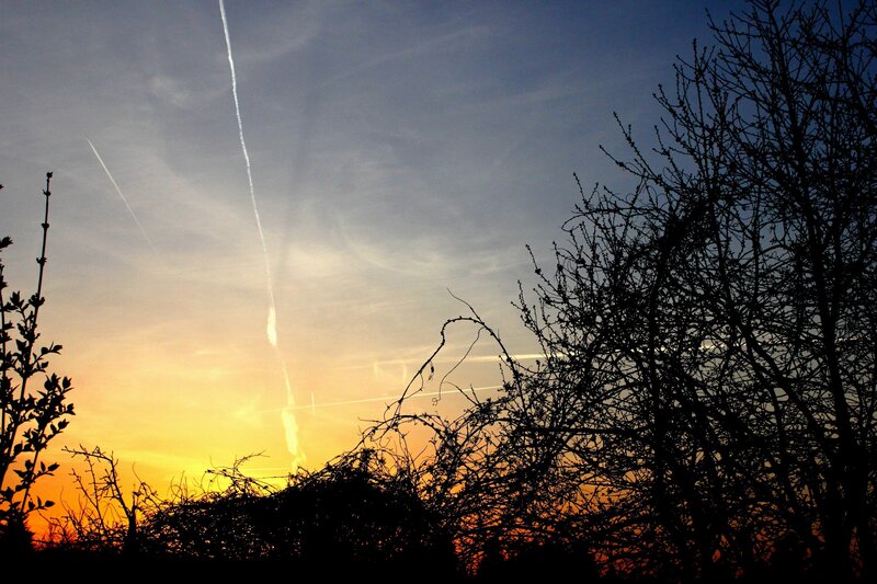 sunset with contrails