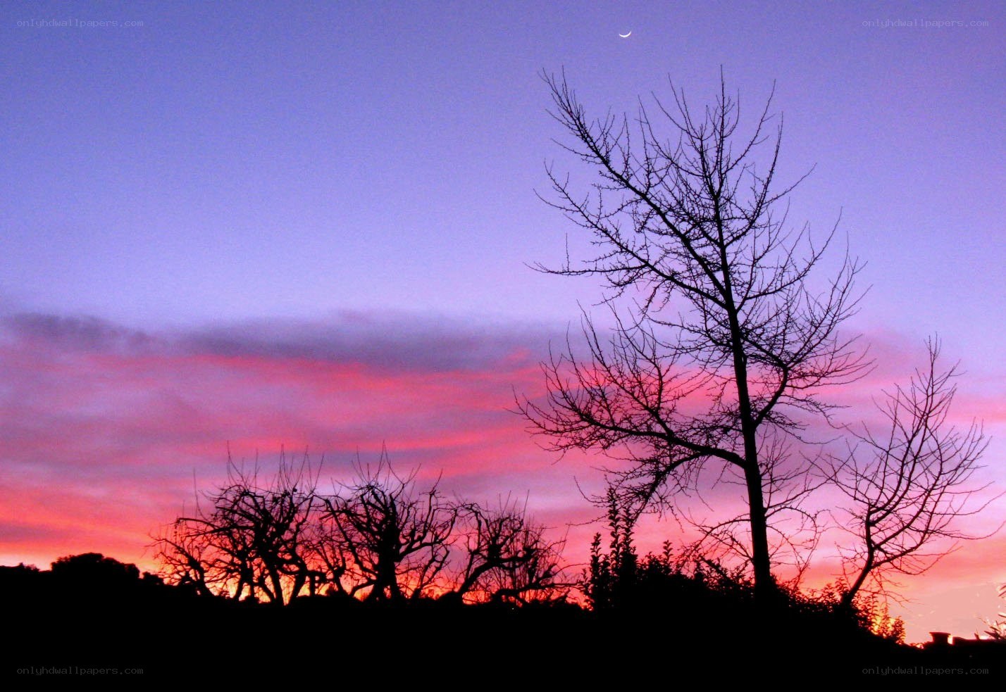 sunset with crescent moon