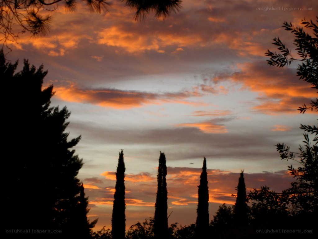 Sunset with cypress trees