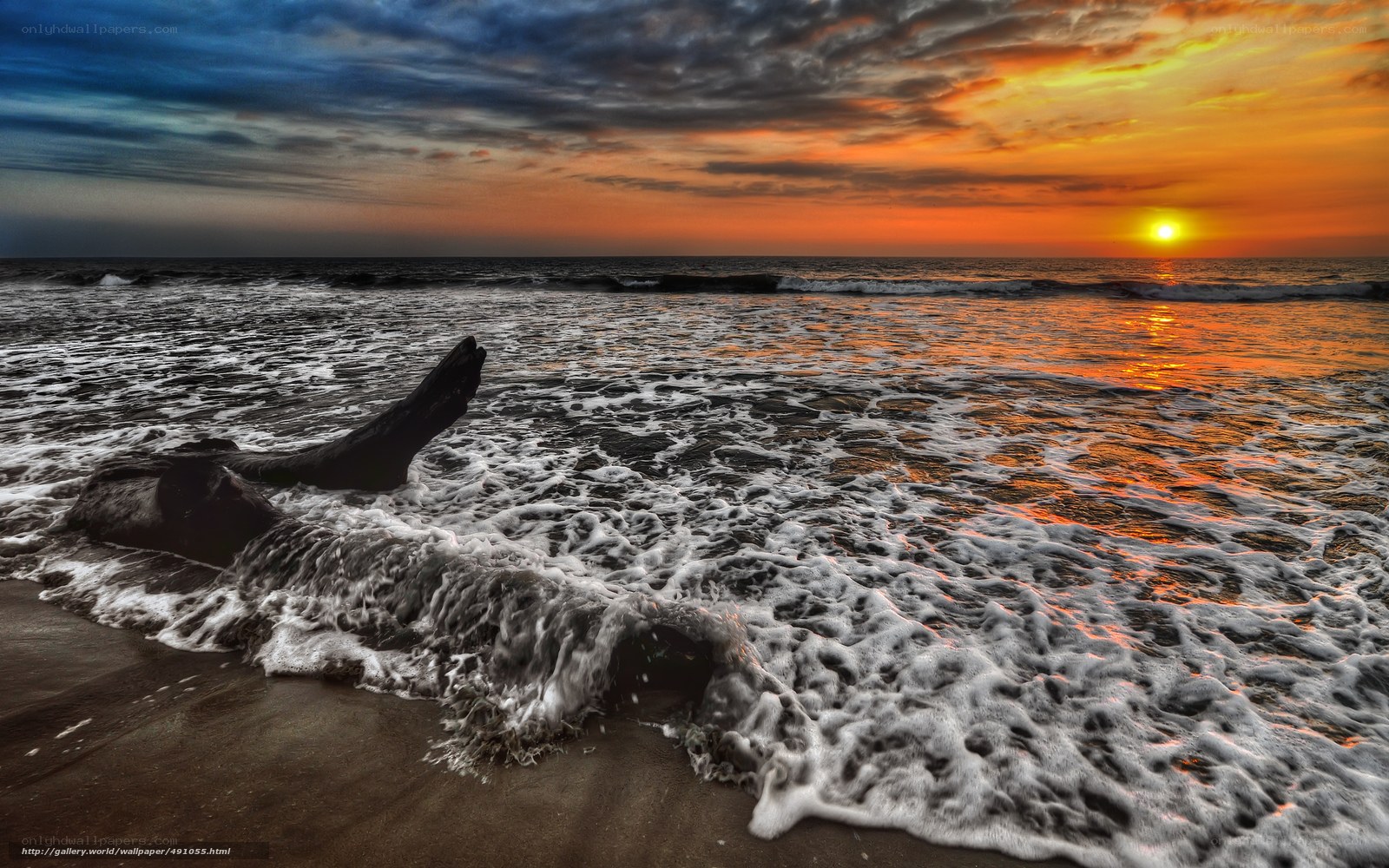 Sunset with driftwood on beach