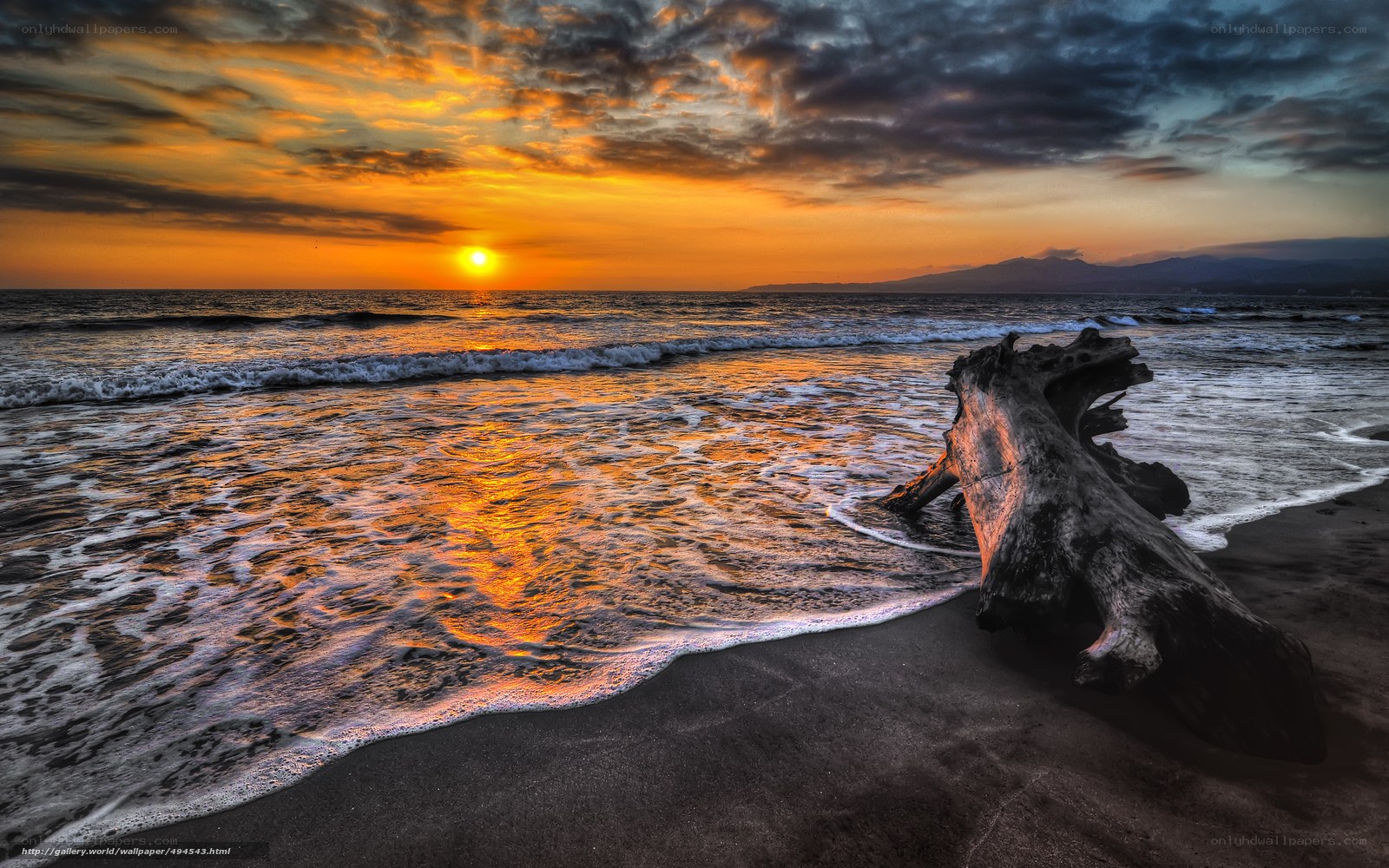 Sunset with driftwood on beach