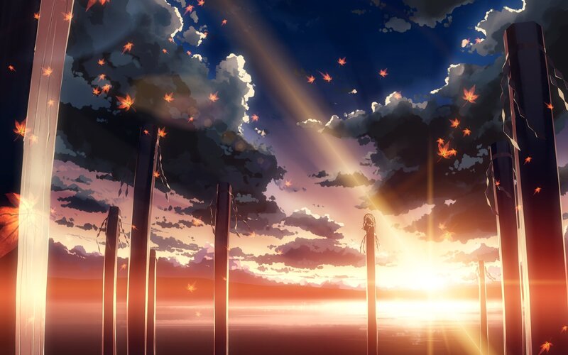 sunset with falling leaves