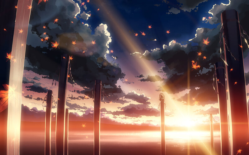 Sunset with falling leaves