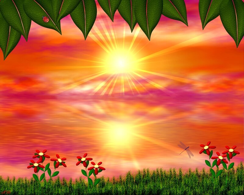 Sunset with flowers and ladybug