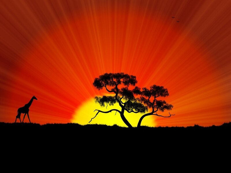 sunset with giraffe and tree