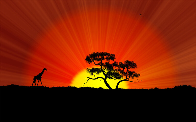 sunset with giraffe and tree