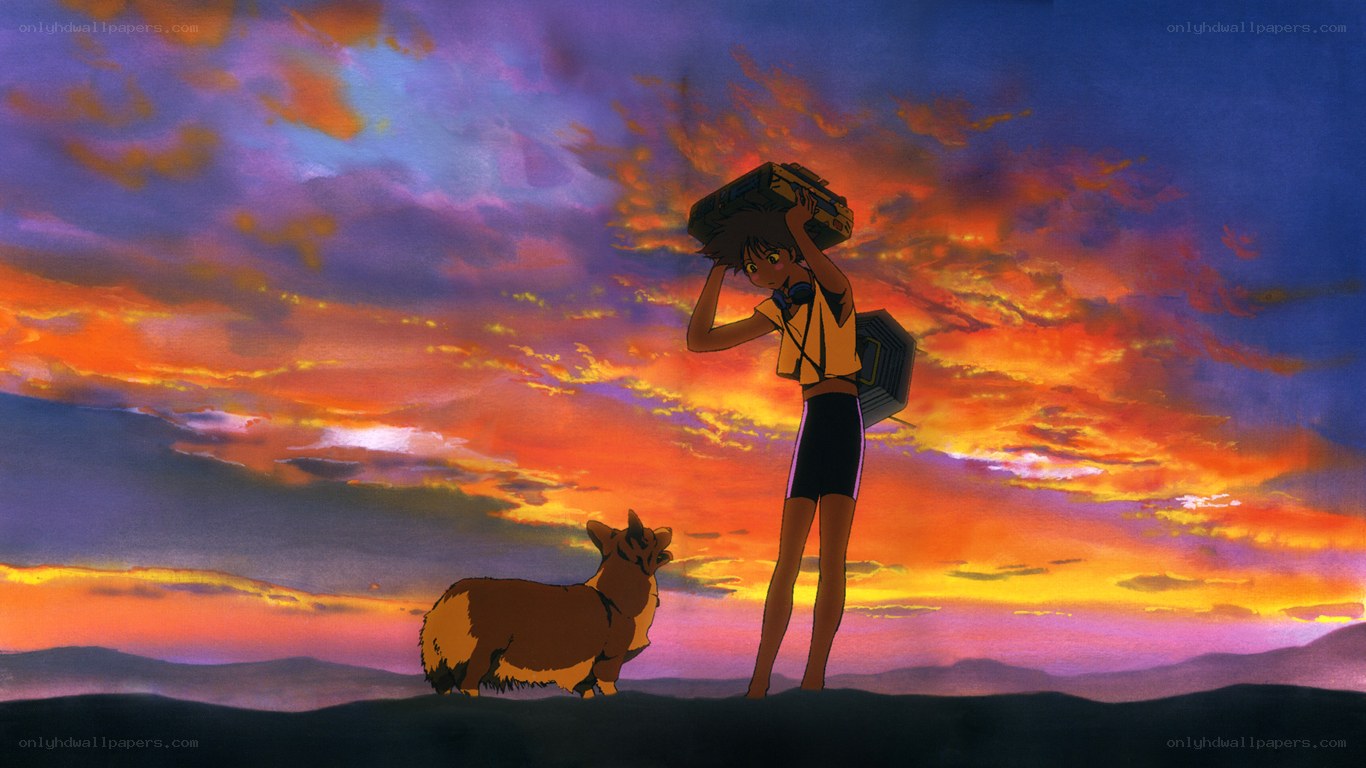 Sunset with girl and dog