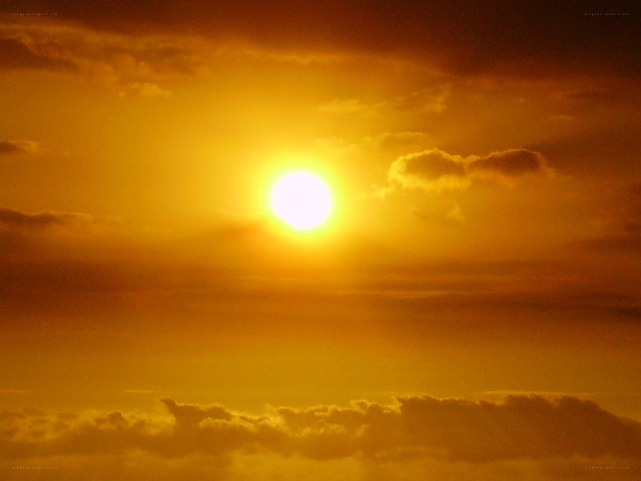 Sunset with golden sky