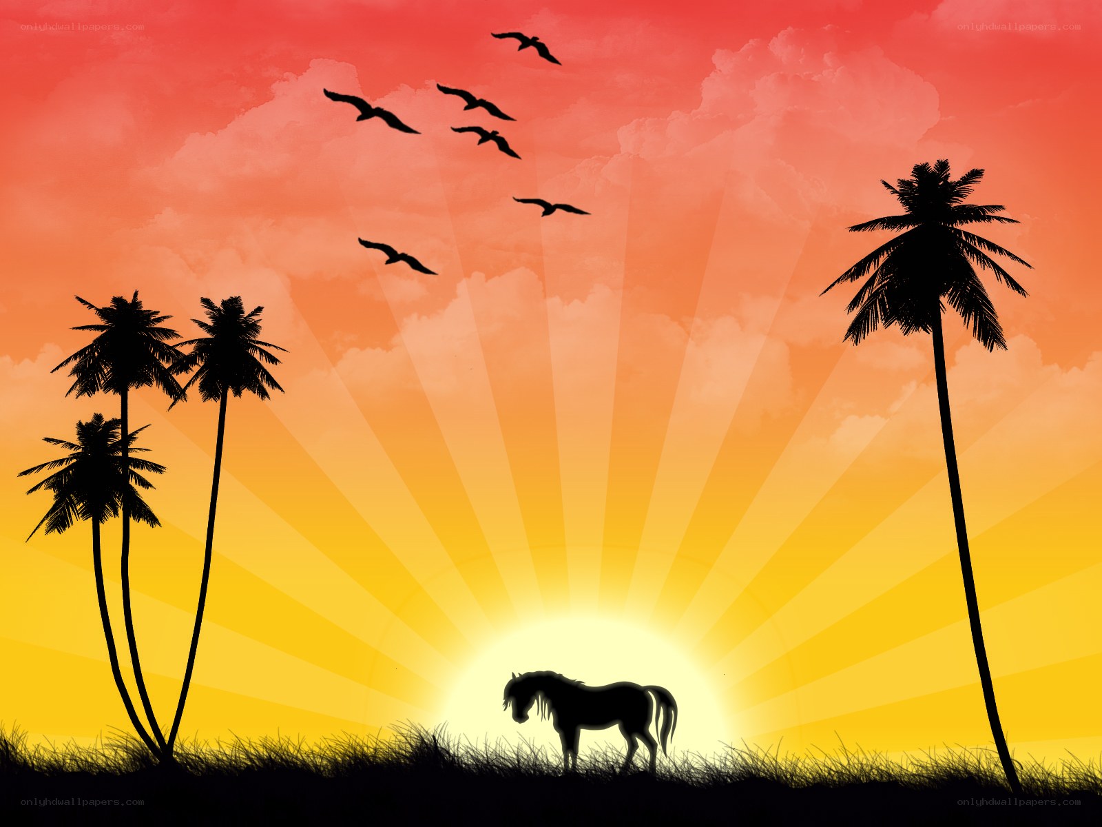 sunset with horse and palm trees