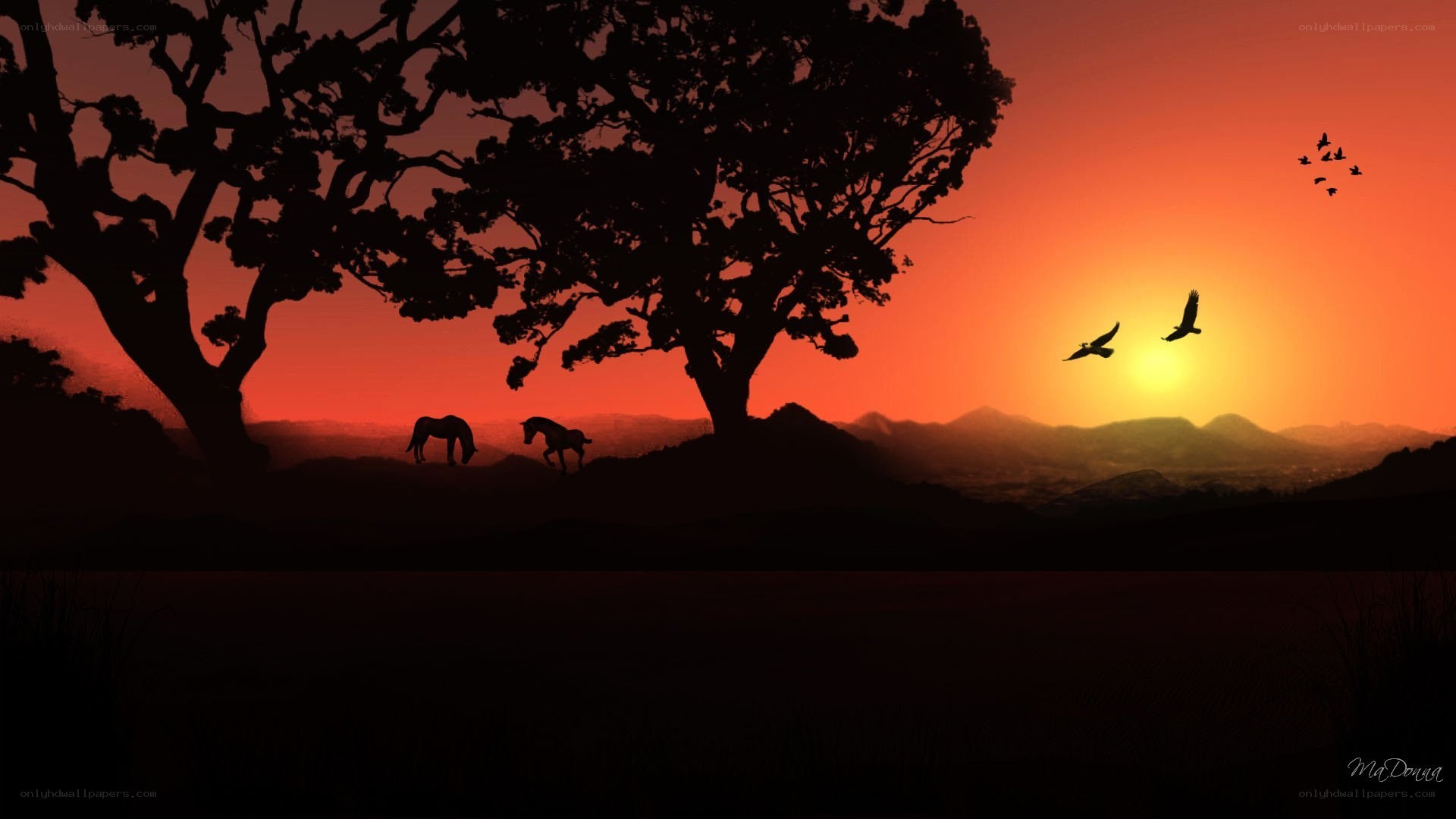 Sunset with horses and birds