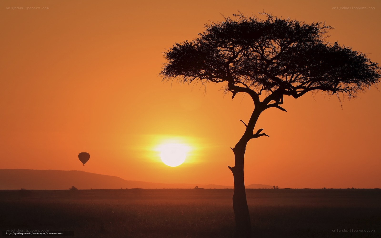 Sunset with hot air balloon