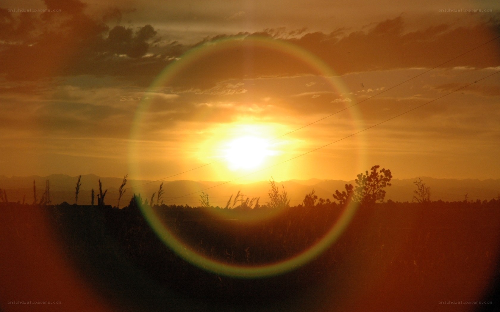 Sunset with lens flare